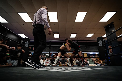 LDFA Fight Night 4 | 110 Place d'Orléans Dr