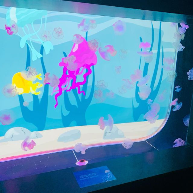 遙不可及的海洋世界 ～ 探遊館