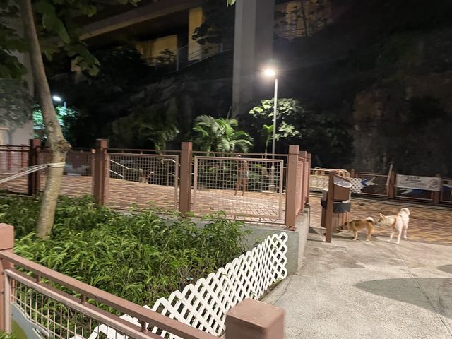 寵物公園｜黃竹坑