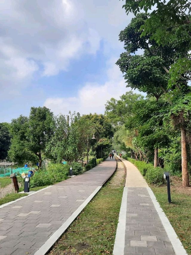 【桃園】散步好去處-桃林鐵路