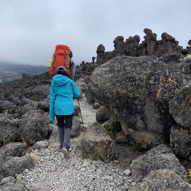 Cool Hiking at Kilimanjaro