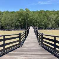 A Day in Kukup Island National Park