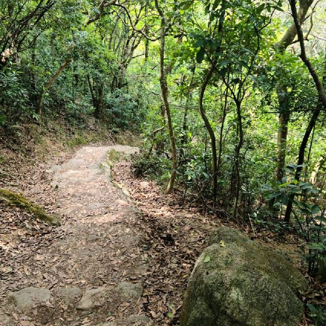 行山游 一家大細 獅子山郊野公園