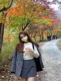 [상소동 산림욕장] 한국의 앙코르와트🗿