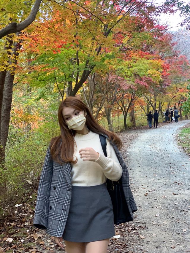[상소동 산림욕장] 한국의 앙코르와트🗿