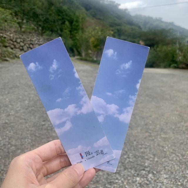 苗栗三義景觀餐廳｜漫步雲端森林廚房，山上用餐氣氛佳