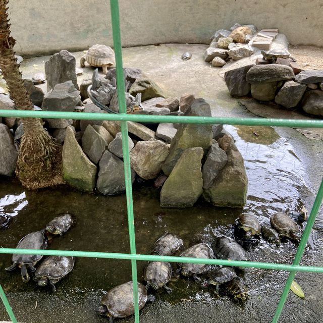 免費入場的小園地 📍天水圍