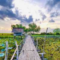 สะพานไม้สาวโนเล