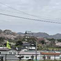 北海道　道の駅　松前でしまえび丼