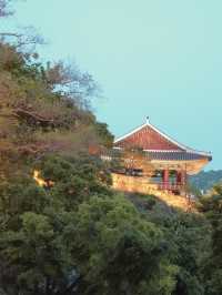 낮부터, 밤까지 즐기는 진주 피크닉 명소 진주성