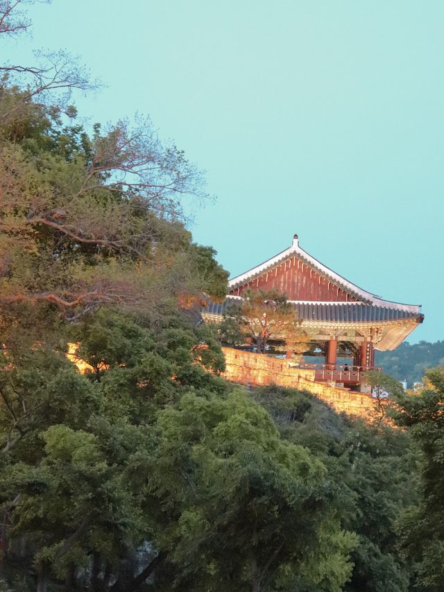 낮부터, 밤까지 즐기는 진주 피크닉 명소 진주성