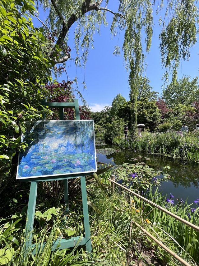 【高知】アートな絶景！モネの池マルモッタン