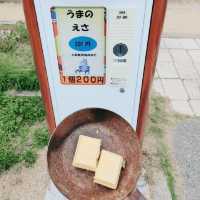 乗馬・給餌体験ができる！姫路セントラルパーク