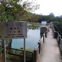 輕輕鬆鬆行水塘