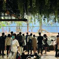 X Park 水族管 