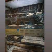 Roman Belongings