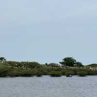 Nam Dinh National Park 