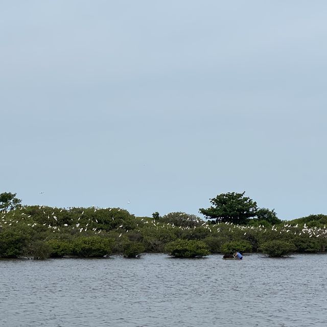 Nam Dinh National Park 
