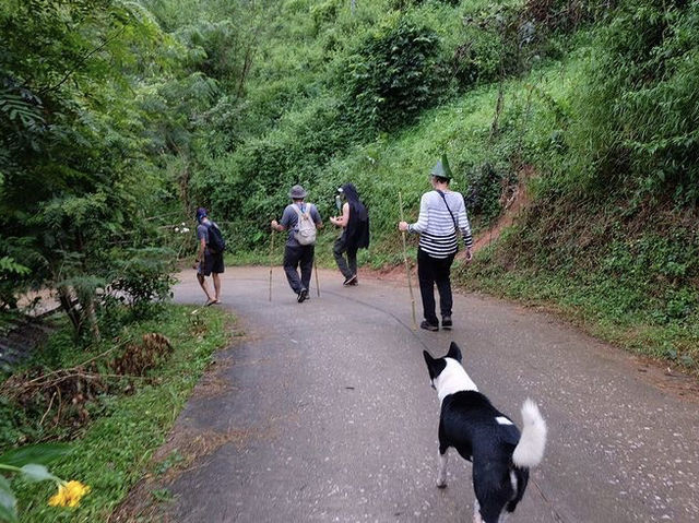 ตกลงเดินป่าแบบงง