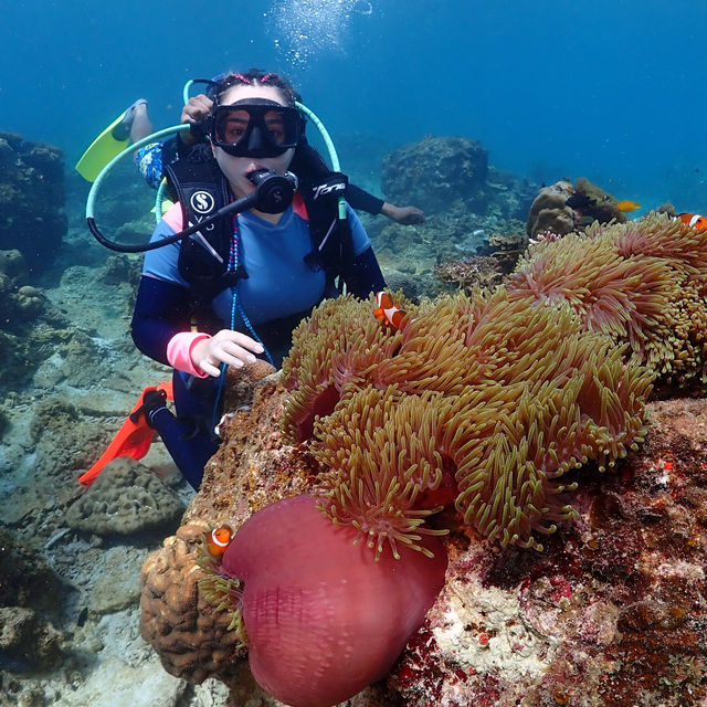 the best island in terengganu- redang island!