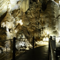 Deer & Lang Cave - Mulu National Park, MZV