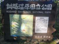 【釧路】秋の絶景！黄金に光る秋の釧路湿原をご紹介