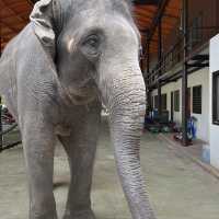 เมืองโบราณ