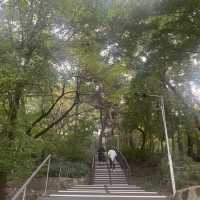 Wonderfull Namsan Park  