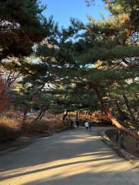 One of the most beautiful areas in Seoul! 