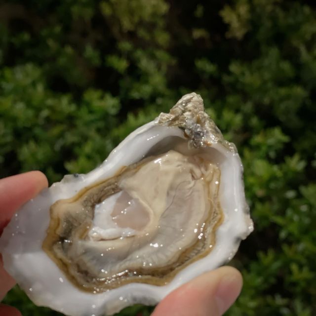 新鮮就係美味嘅保證來自Oyster Cove