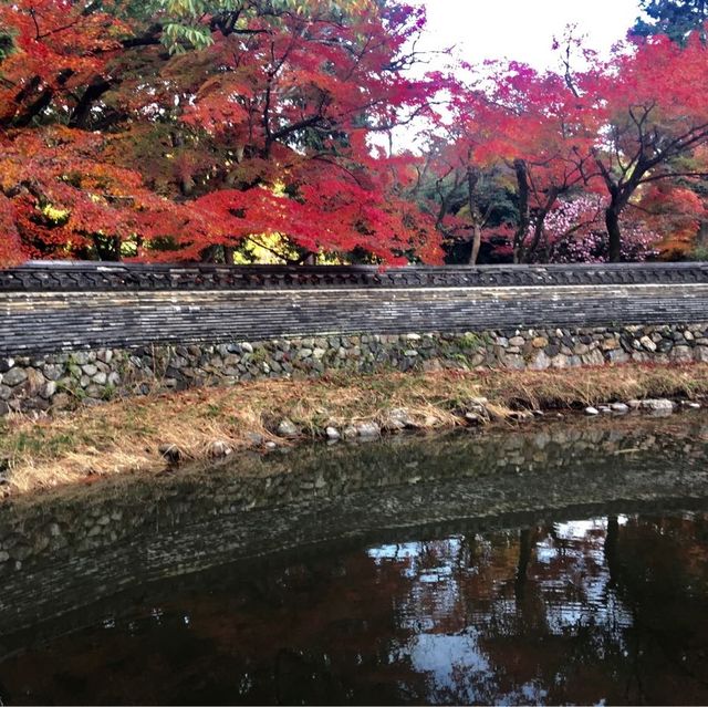 きれいな庭園と国宝の建物、土岐川を望む事も出来る歴史ある禅寺