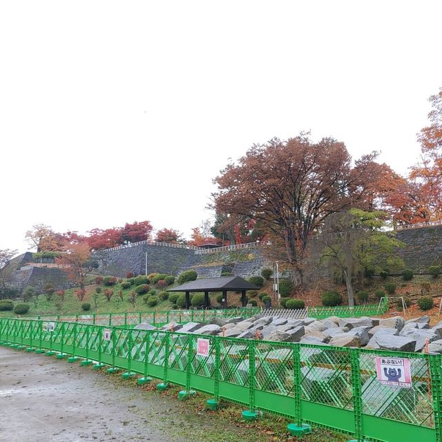 岩手県！盛岡城跡公園の紅葉