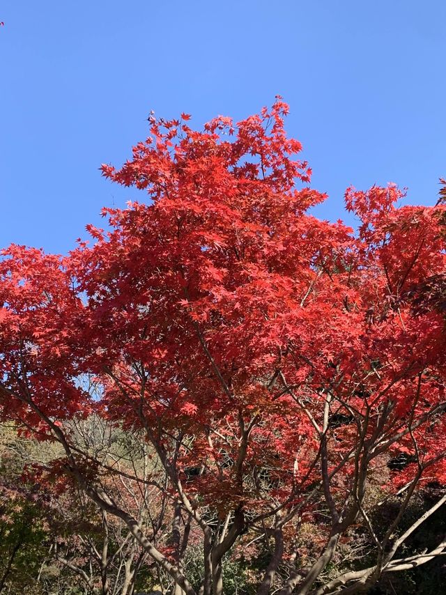 등산하는 이유=사진찍기.⛰