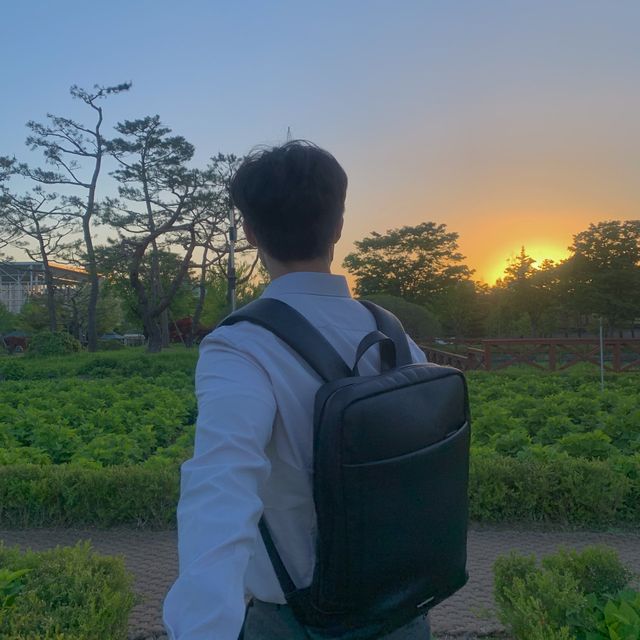 대전 산책하기 딱 좋은 한밭수목원 