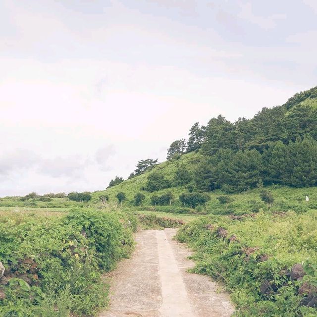 섬 속의 섬, 제주도 비양도 여행