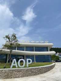울산 거대 오션뷰 카페! AOP