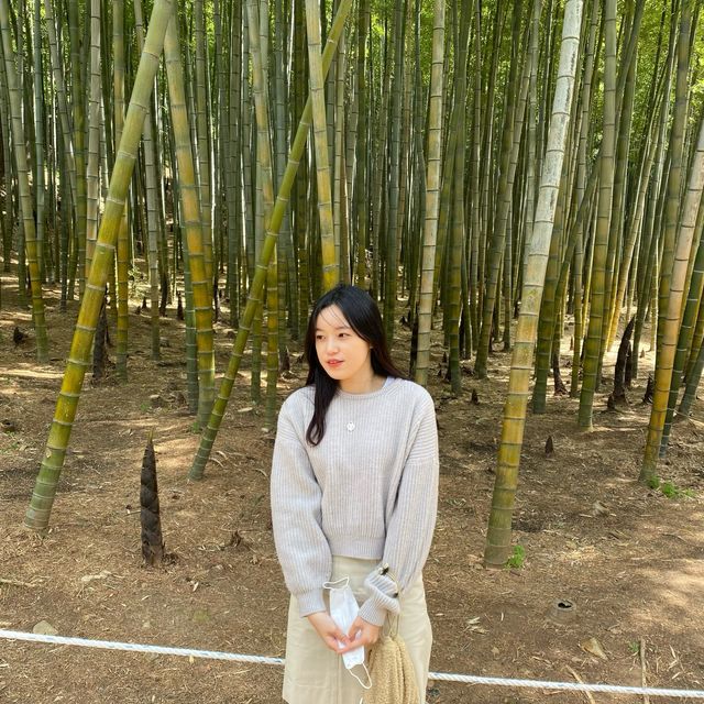 [부산] 좋은 공기마시며 가볍게 산책할 수 있는 곳🎋