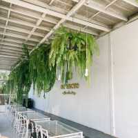 #คาเฟ่ปทุมธานี ร้านสวย อาหารอร่อย ราคาไม่แรง