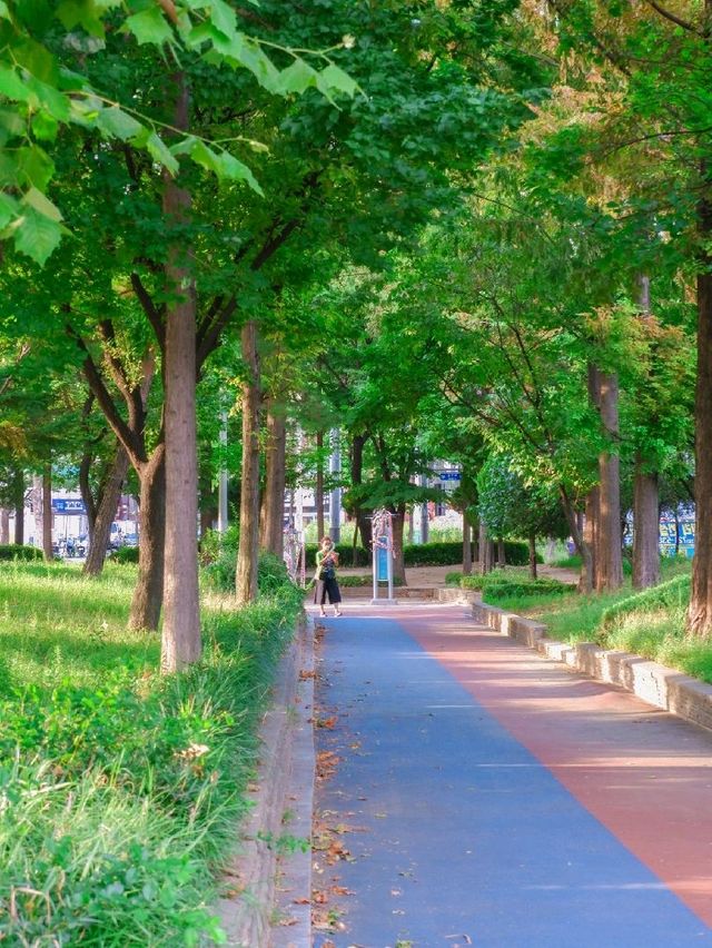 부평 신트리공원, 여유로운 산책길 부평 신트리공원, 여유로운 산책길