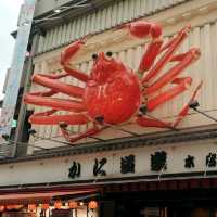 The bright lights and colors of Osaka