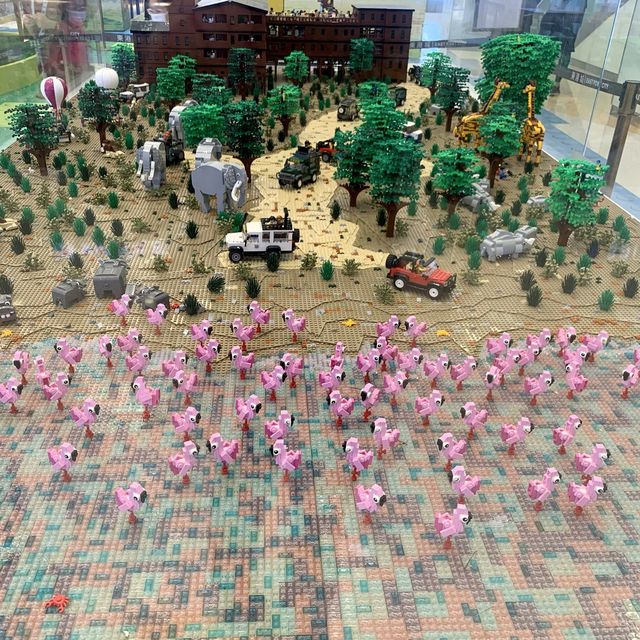 市區 動物園
