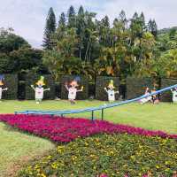 大公主在此👸🏻士林官邸💯不再錯過的美麗花園🌹🌷💐🌺🌸🌼🌻
