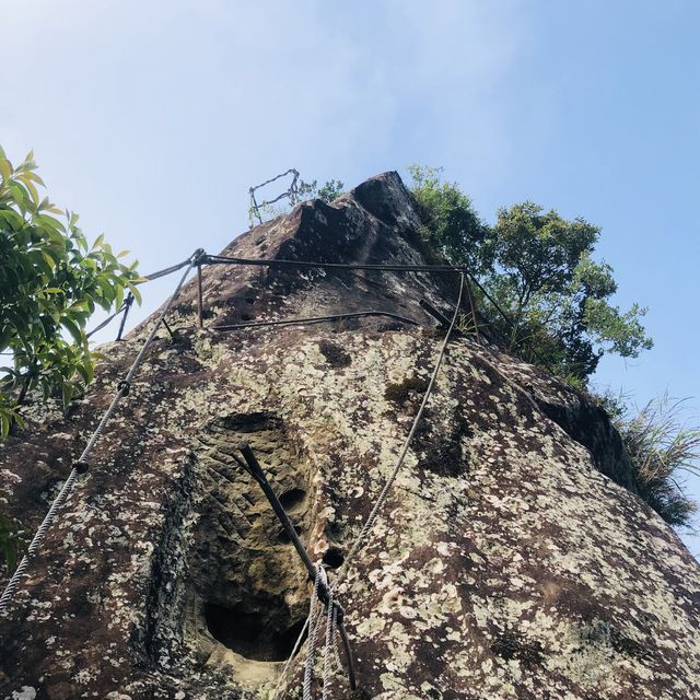 Xiaozishan Trail 孝子山步道🐾爬爬山呼吸新鮮空氣🌳新北平溪