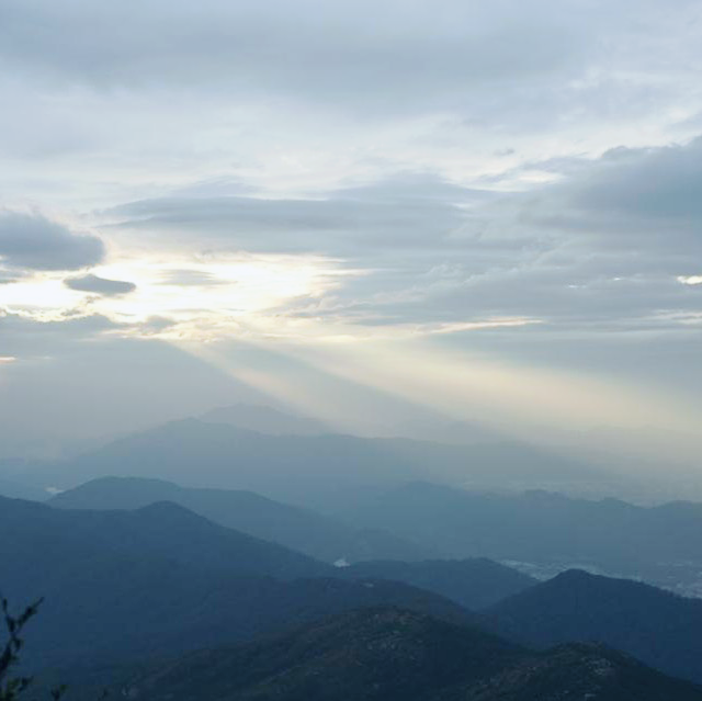 挑戰「針、草、帽」行山路線！