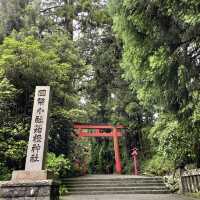 雨の中でも神々く紫陽花も綺麗な箱根神社