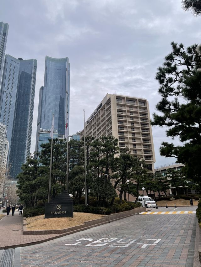 해운대 정면 뷰✨5성급 호텔 [파라다이스호텔 부산] 
