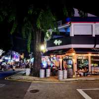 The Mini Orchard Road Of Singapore(Holland)