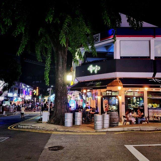 The Mini Orchard Road Of Singapore(Holland)