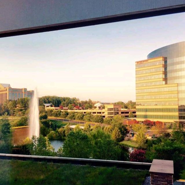 Bright and Sunny at Westin Dulles