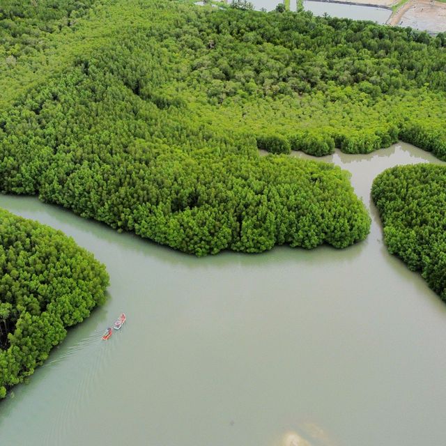 Mangrove Paradise on Koh Chang